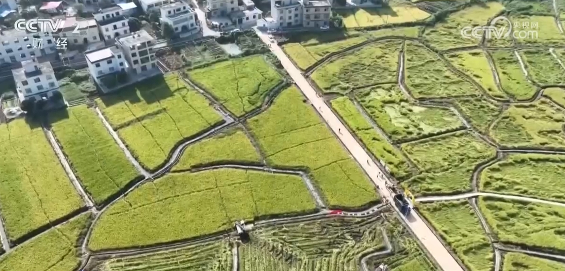粮满仓、果飘香、生态种养收获忙 田野好“丰”景展现蓬勃气象(图7)