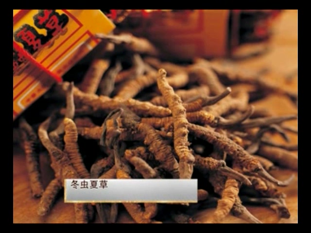 海口美兰区：科技助力海虫草种植“唤醒”盐碱地(图1)