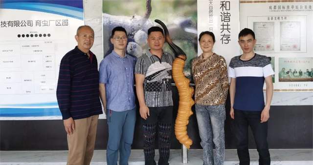 我们这十年 藏仙虫草十周年特辑(图3)
