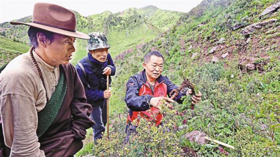 重庆对口支援昌都：十轮接力且看藏东巨变(图1)