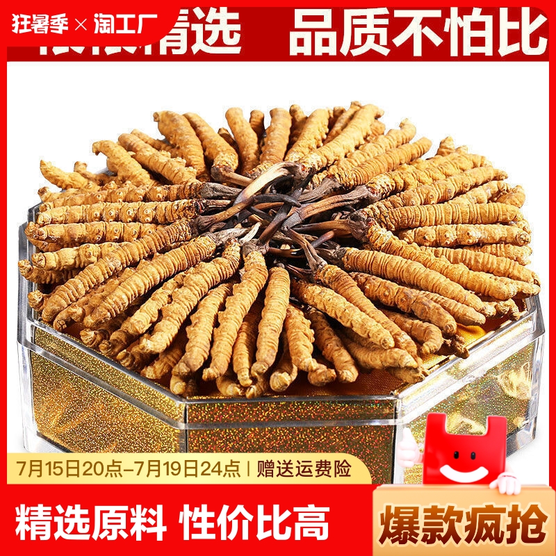 台湾利用蚕蛹培育出人工“冬虫夏草”(图1)