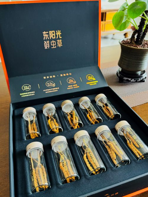 品味东阳光鲜虫草解锁多样食用方法(图1)