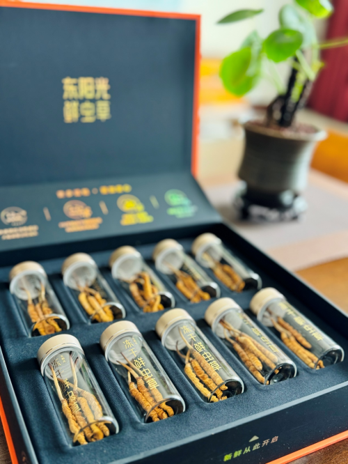 想养生还在纠结冬虫夏草的选择？东阳光鲜虫草让养生不再纠结！(图3)
