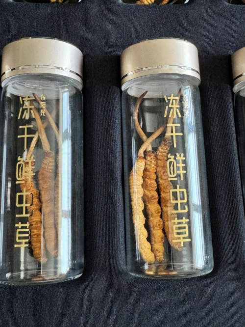 想养生还在纠结冬虫夏草的选择？东阳光鲜虫草让养生不再纠结！(图2)
