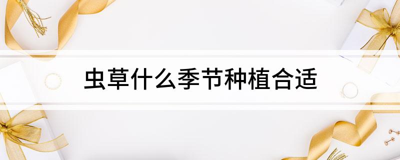 虫草什么季节种植合适(图1)