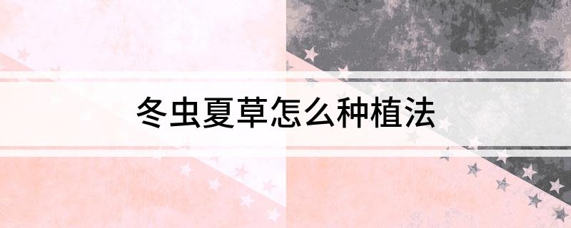 冬虫夏草怎么种植法(图1)