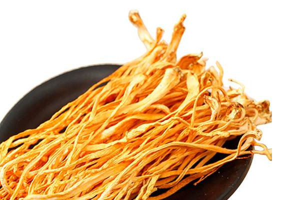 冬虫夏草资源储量面临困局(图1)