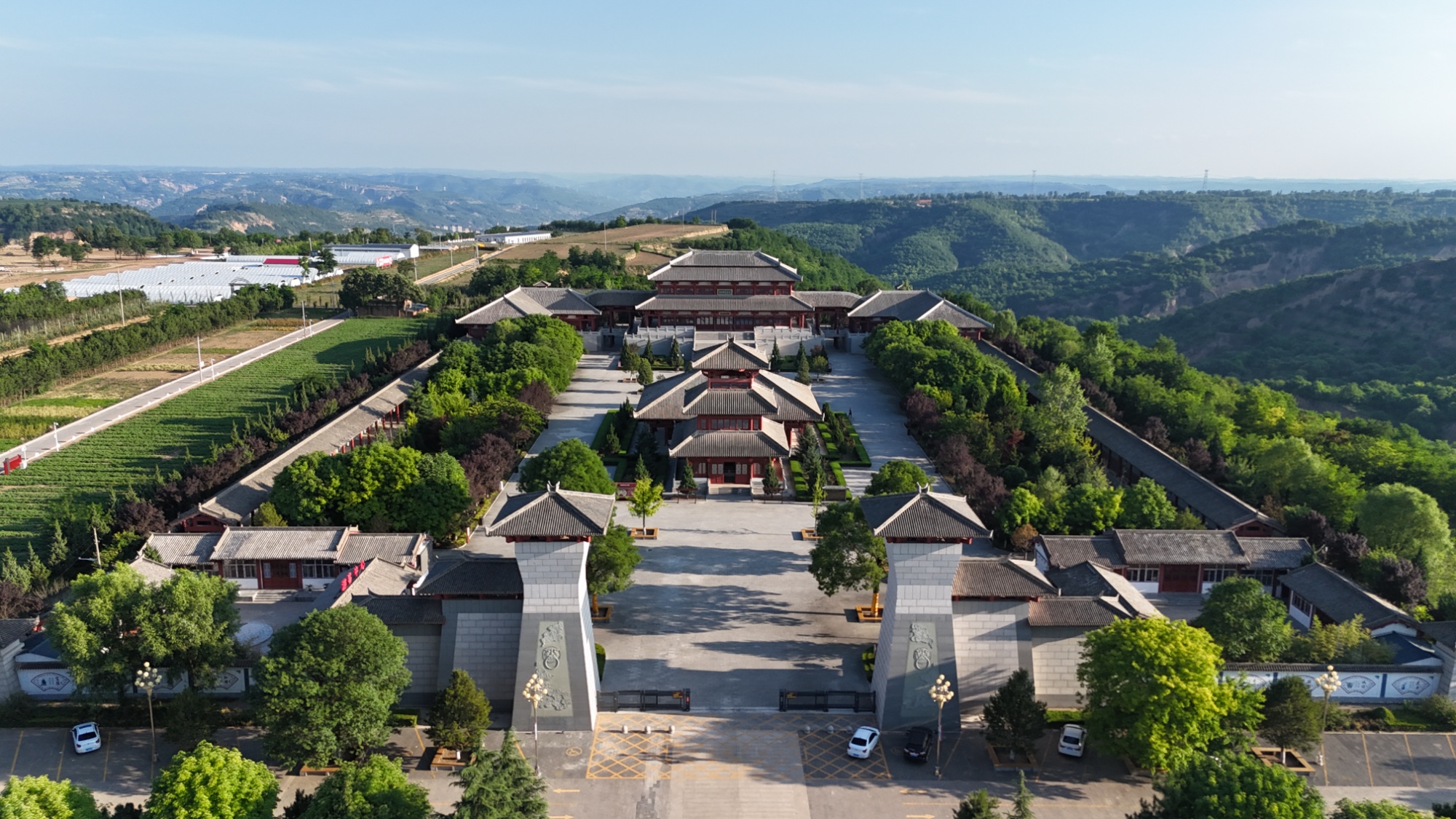 甘肃灵台：小艾草引领康养新嬗变(图1)