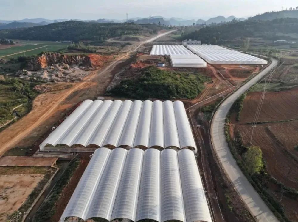 产业合作 文山市：高原特色经济作物种苗繁育基地投入使用(图1)
