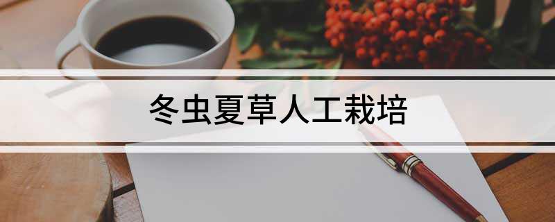 冬虫夏草人工栽培(图1)