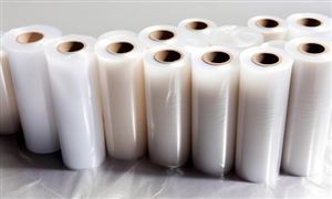 2024食用菌产业现状及未来发展趋势分析(图3)