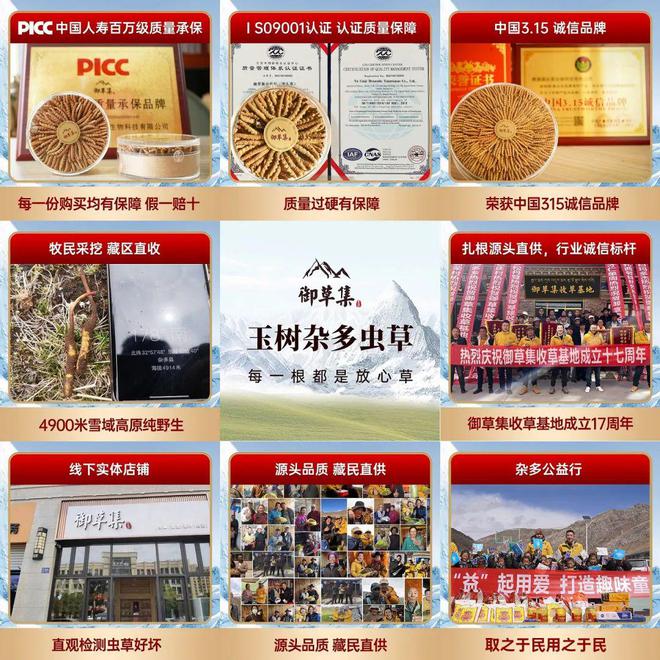 虫草是滋补佳品还是徒有虚名？和17年老行家一起深扒虫草那些事(图3)