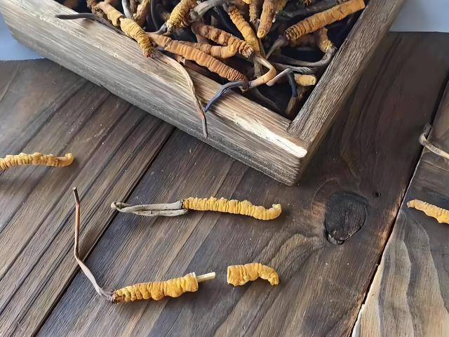 断草秒变整草！原来冬虫夏草也有科技与狠活(图3)