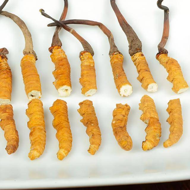 断草秒变整草！原来冬虫夏草也有科技与狠活(图4)