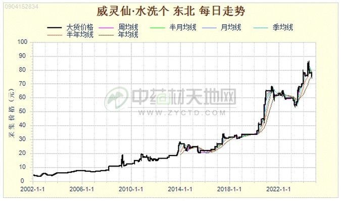 2024年家种威灵仙面积扩增 后市行情何去何从？(图2)