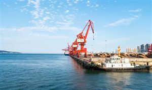 冬虫夏草行业市场深度分析报告2024：中国冬虫夏草的产量占世界的90%以上(图2)