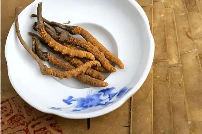 冬虫夏草：科研揭示抗癌奇效惊人发现引发读者好奇(图1)