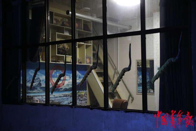 走进“虫草之乡”(图2)