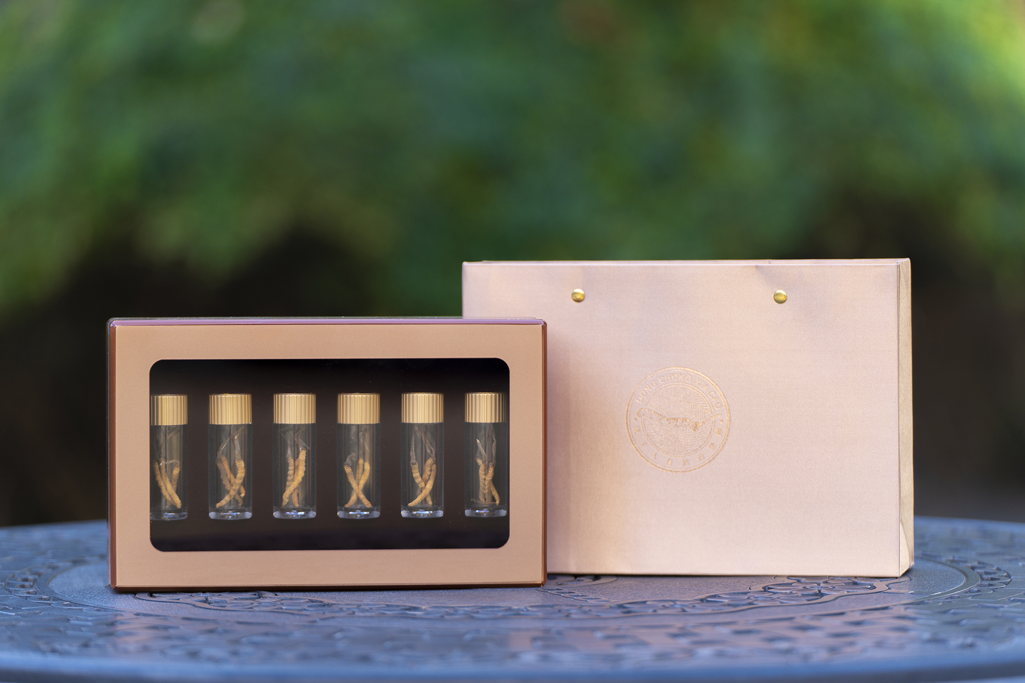 人工栽培虫草工艺探究及研究doc(图1)