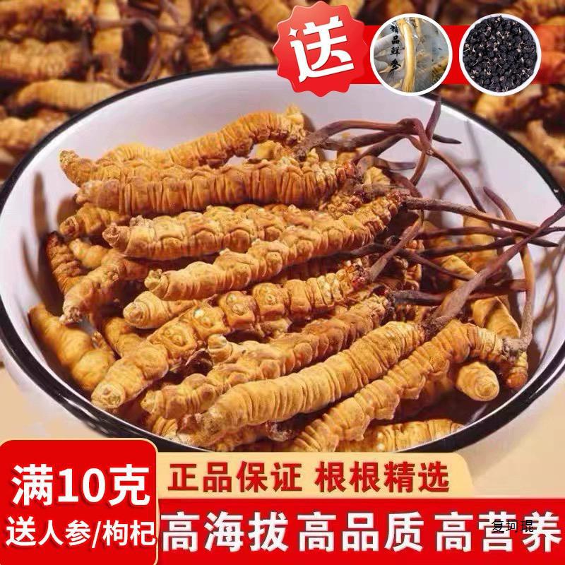 2024年虫草市场十大品牌排行榜(图1)