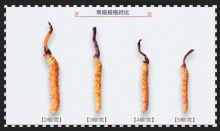 质疑否定柳传志的群体A氏虫草和铁血凝心告诉你十个手指有长短(图1)