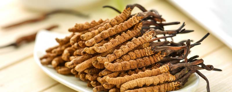 虫草花泡水有什么好处 虫草花泡水有哪些好处(图1)