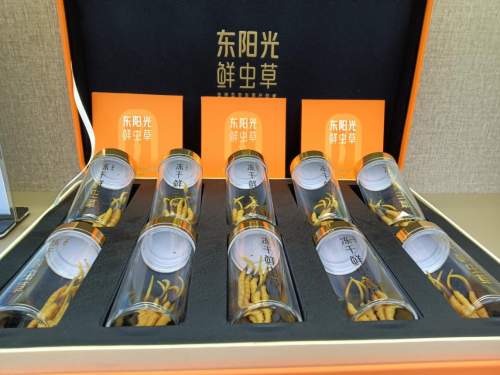 东阳光鲜虫草冬季养生的绝佳之选(图1)