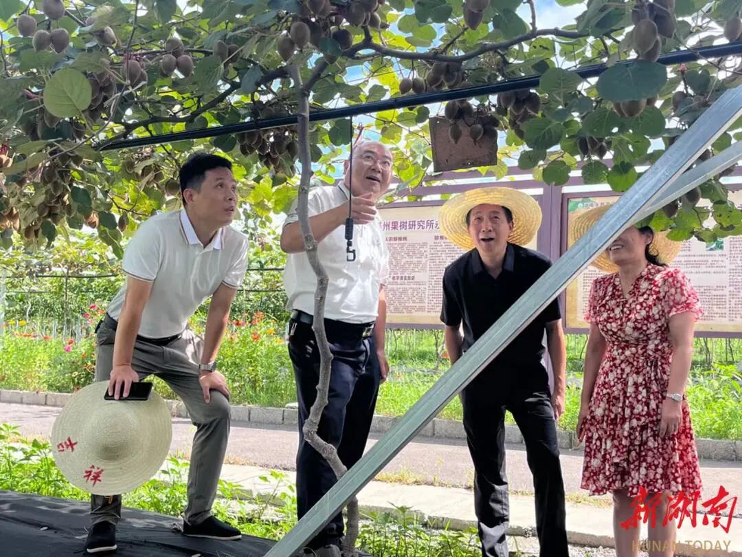 农业农村部定点帮扶(图2)