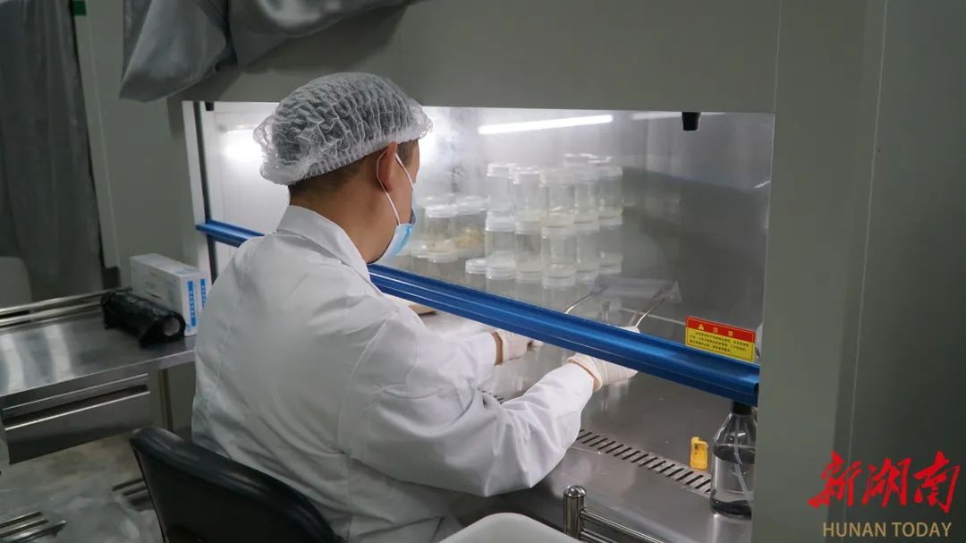 农业农村部定点帮扶(图1)