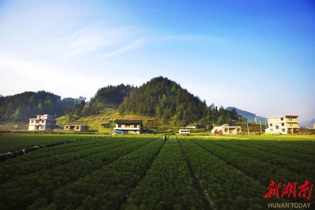 农业农村部定点帮扶(图5)