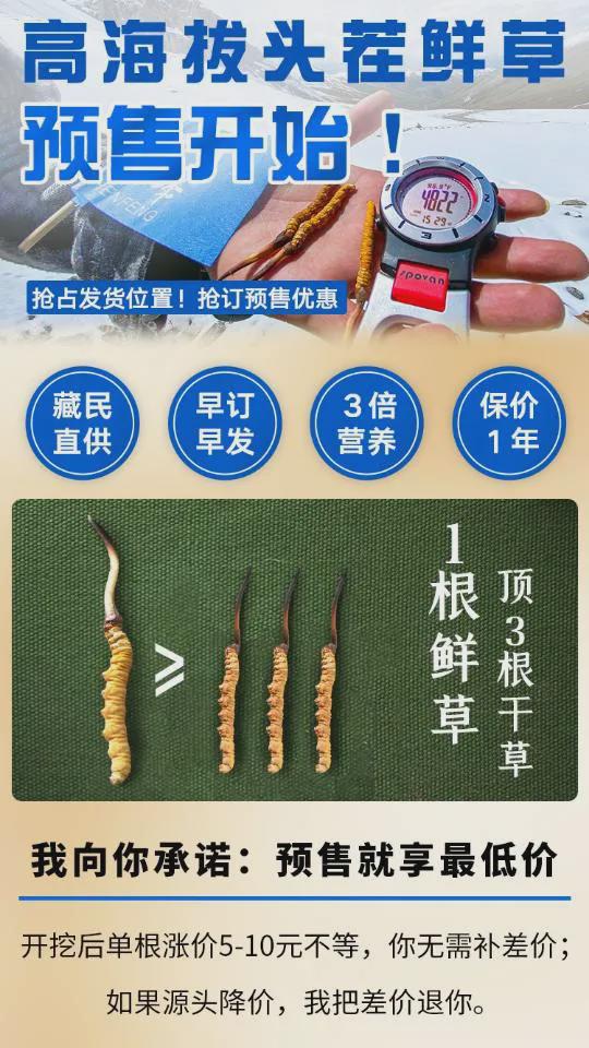 “天价虫草”内幕曝光事关家人健康你一定要看看……(图4)