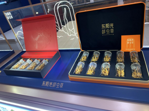 东阳光鲜虫草开启品质养生新时代(图1)