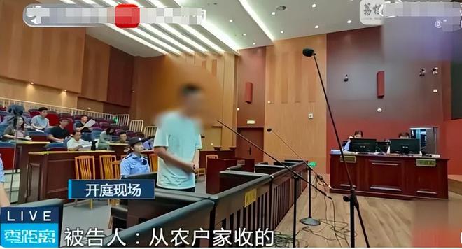 男子摘“发菜”被判十个月罚款5000什么菜这么金贵？(图7)
