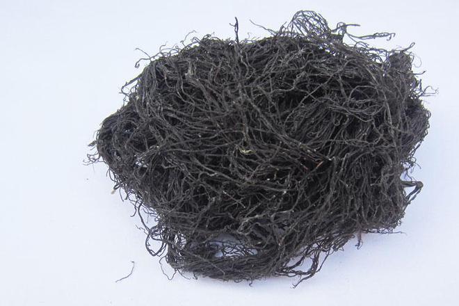 男子摘“发菜”被判十个月罚款5000什么菜这么金贵？(图8)