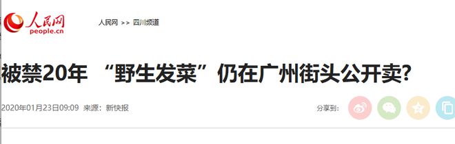 男子摘“发菜”被判十个月罚款5000什么菜这么金贵？(图17)