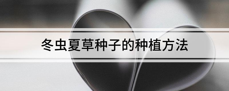 冬虫夏草种子的种植方法(图1)