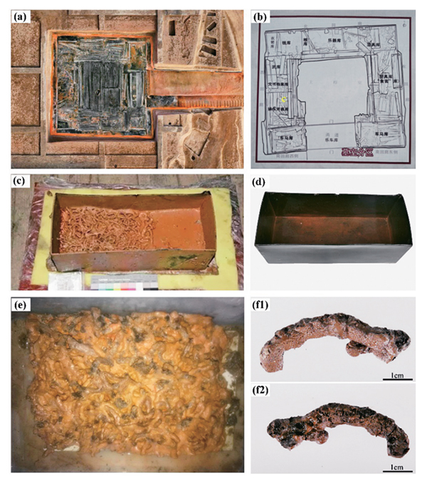 中医药是中华文明瑰宝(图1)