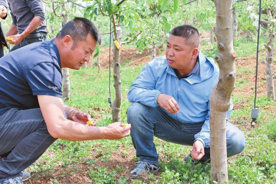 提升服务能力 助推乡村振兴(图2)