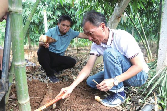 提升服务能力 助推乡村振兴(图1)