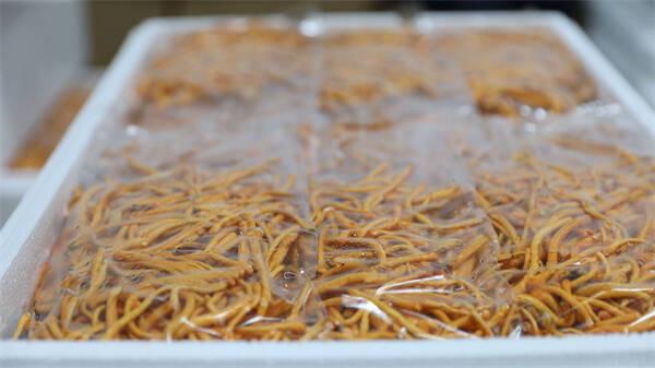 东营市广饶县：“村企携手”共同发展 带动村集体年增收140余万元(图3)