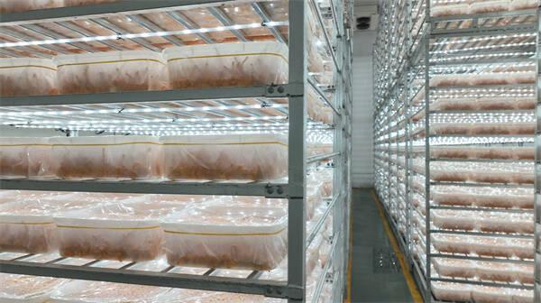 东营市广饶县：“村企携手”共同发展 带动村集体年增收140余万元(图1)
