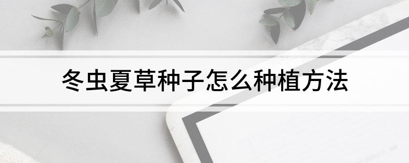 冬虫夏草种子怎么种植方法(图1)