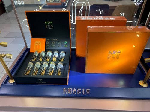冬虫夏草（鲜虫草）冬季养生密码待你解锁(图1)