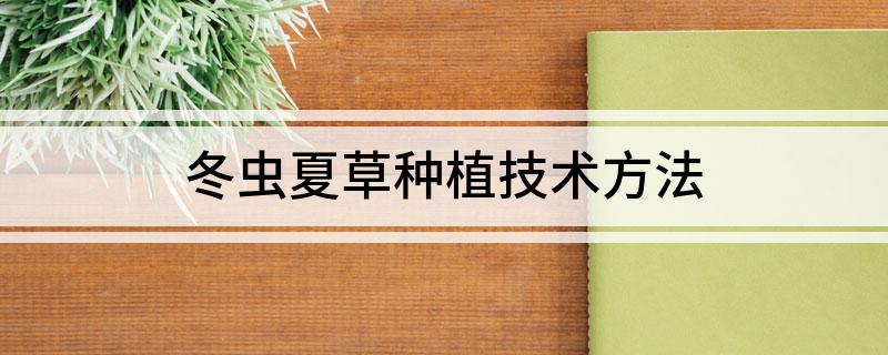 冬虫夏草种植技术方法(图1)