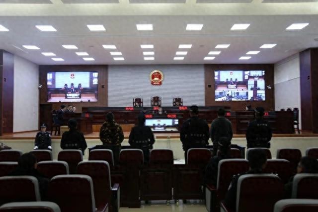 被控用虫草锄击打情人母亲头部致其摔下楼后身亡(图1)