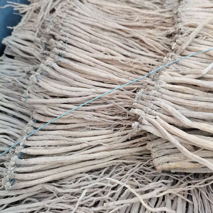 投稿资讯浅析甘肃品种在2025年将有何表现？(图1)