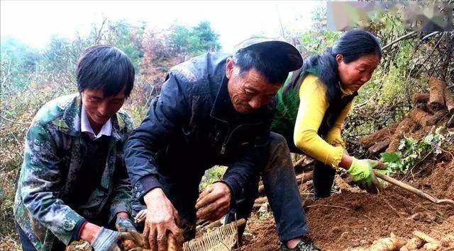 曾经火遍大江南北如今跌落神坛的“高价神药”是如何炒作起来(图8)