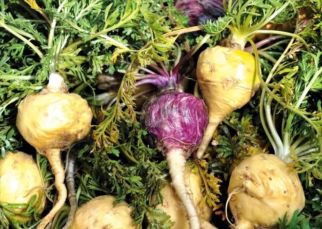 曾经火遍大江南北如今跌落神坛的“高价神药”是如何炒作起来(图4)