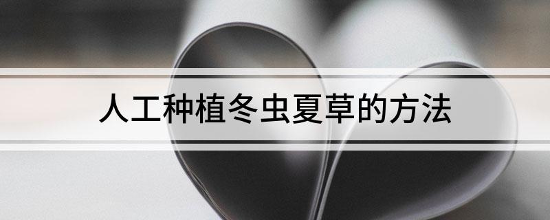 人工种植冬虫夏草的方法(图1)