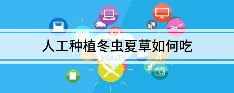 人工种植冬虫夏草如何吃(图1)